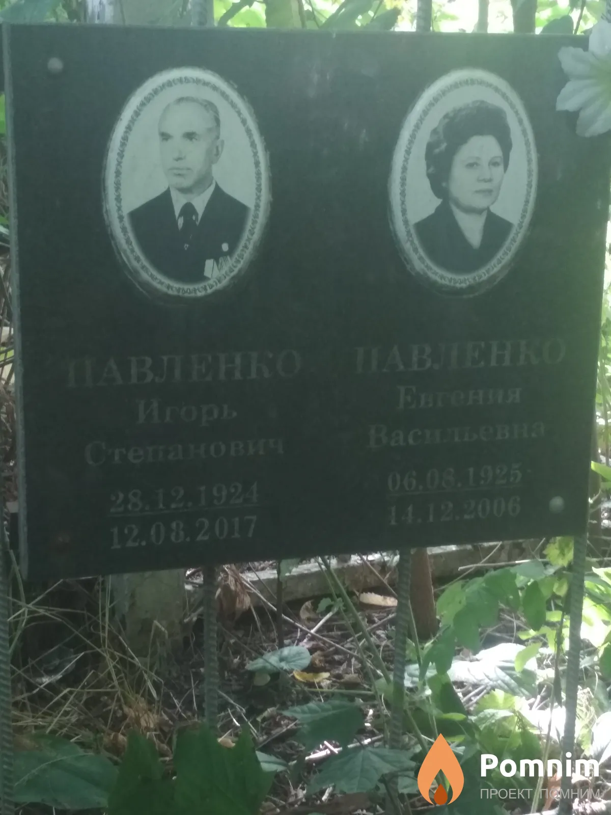 Павленко Игорь Степанович