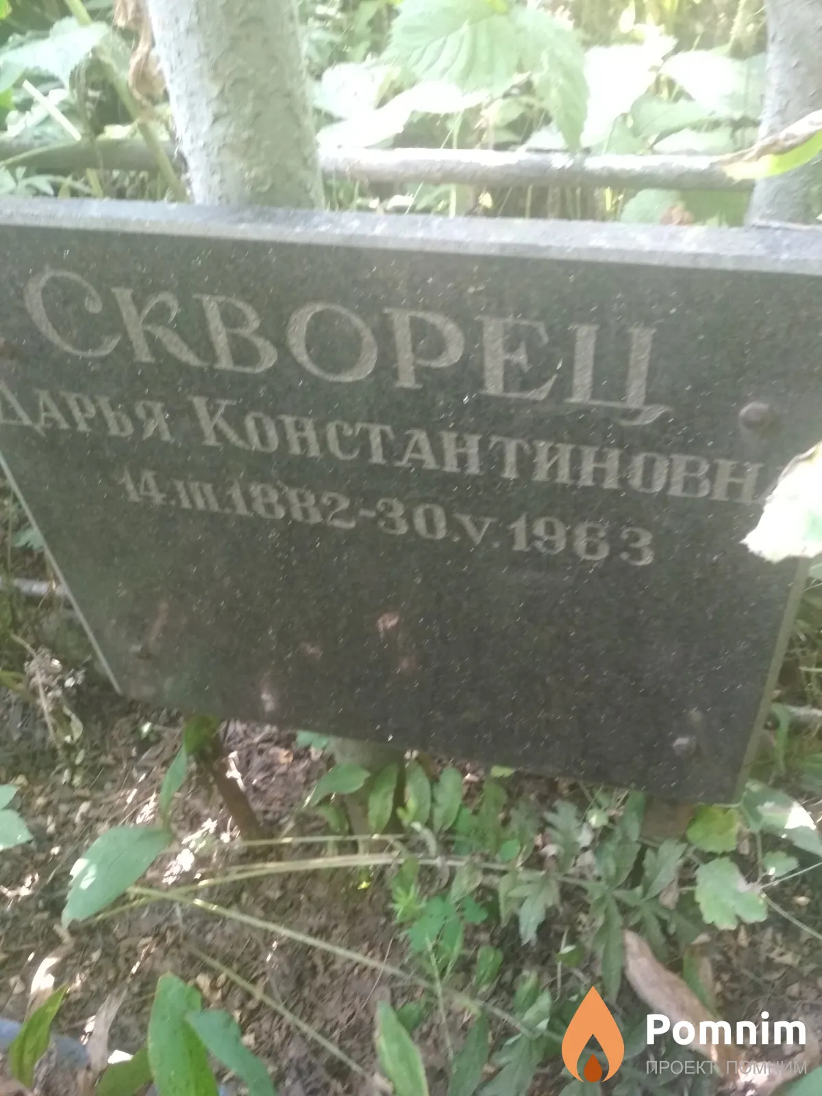 Скворец Дарья Константиновна