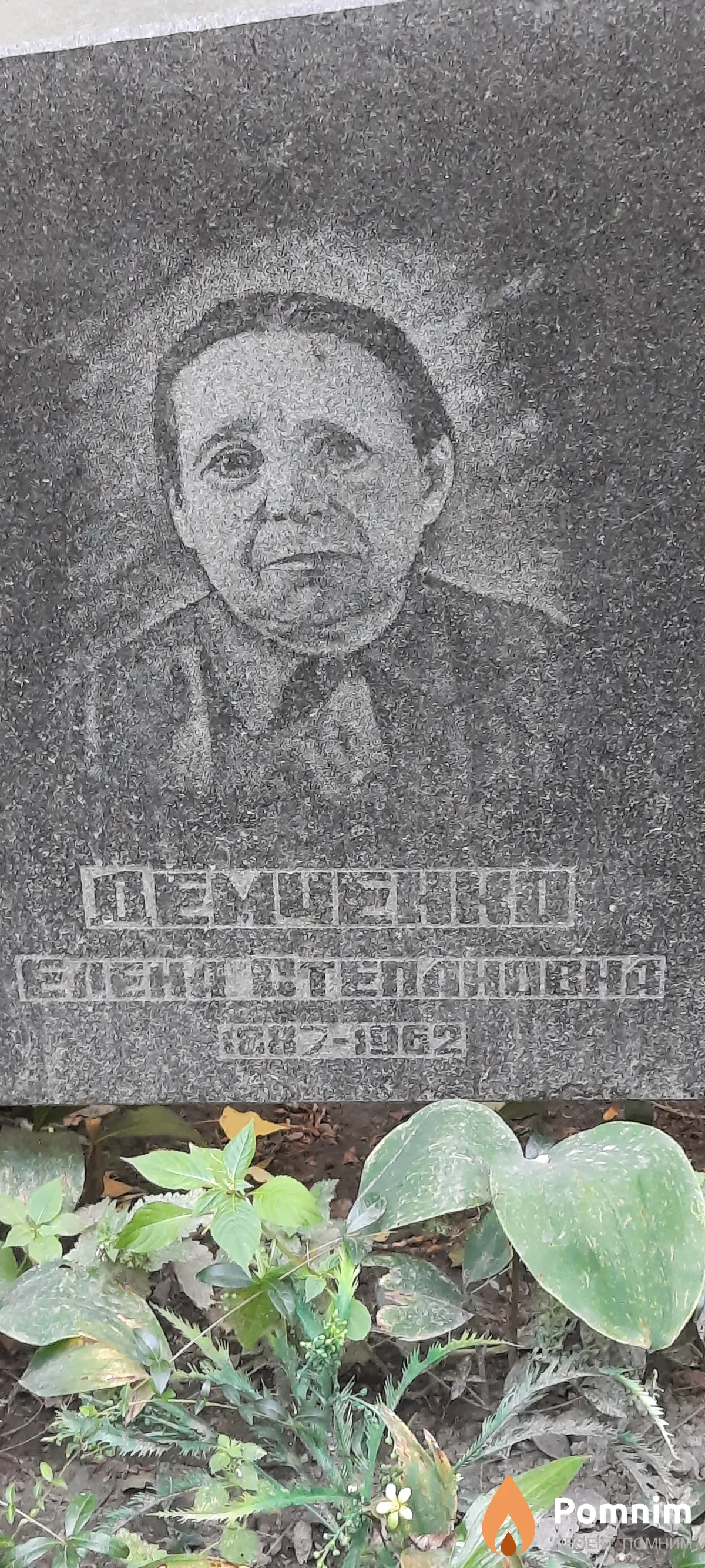 Демченко Елена Степановна