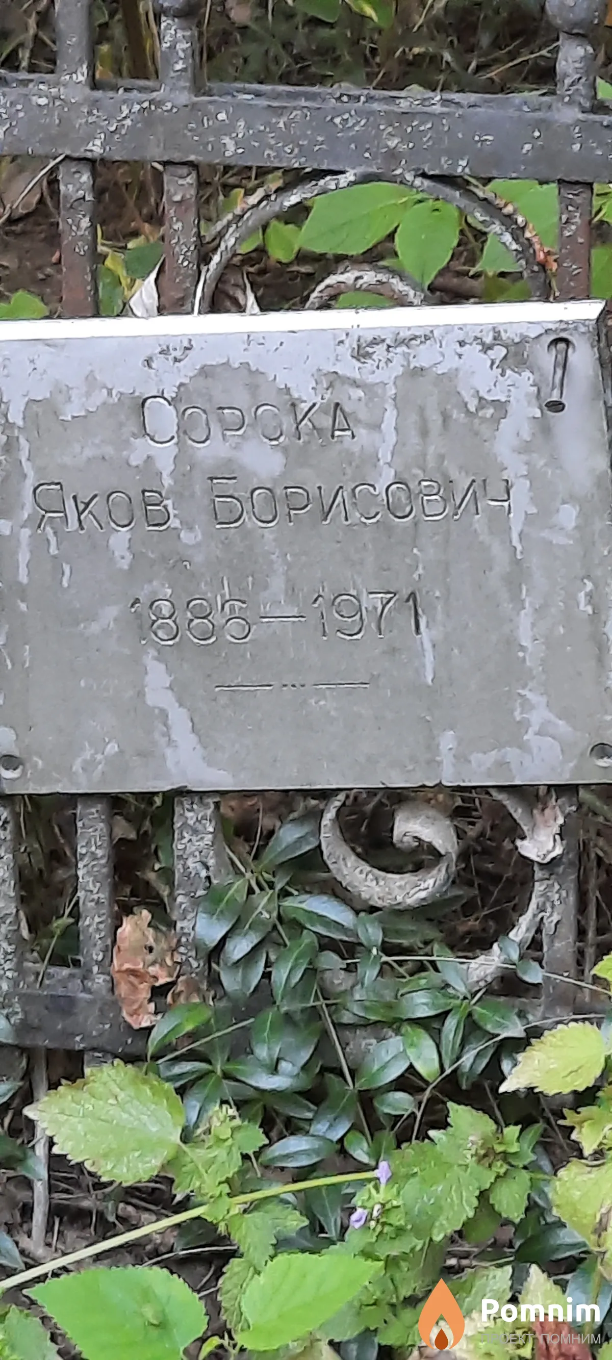 Сорока Яков Борисович