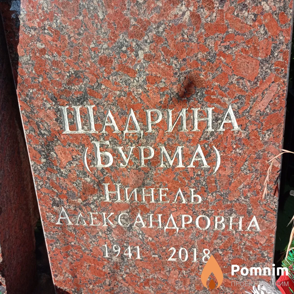 Шадринск - Бурма Нинель Александровна