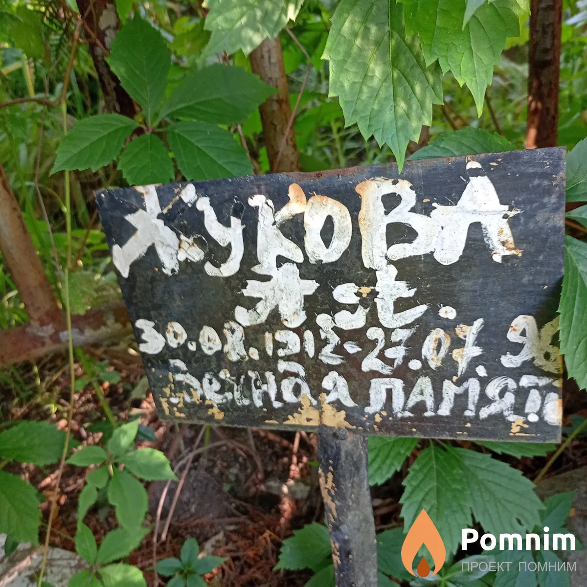 Жукова А А