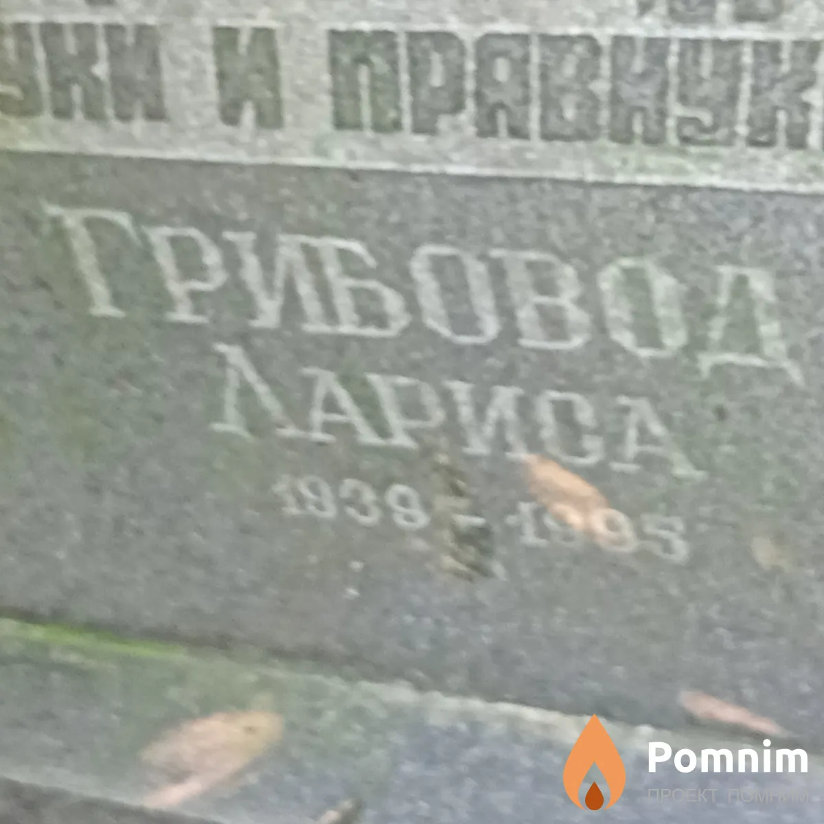 Грибовод Лариса
