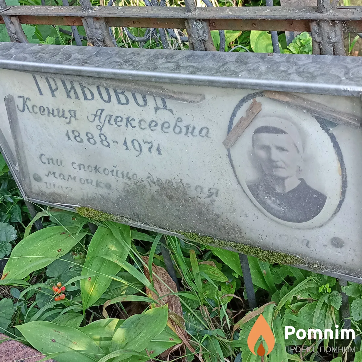 Грибовод Ксения Алексеевна