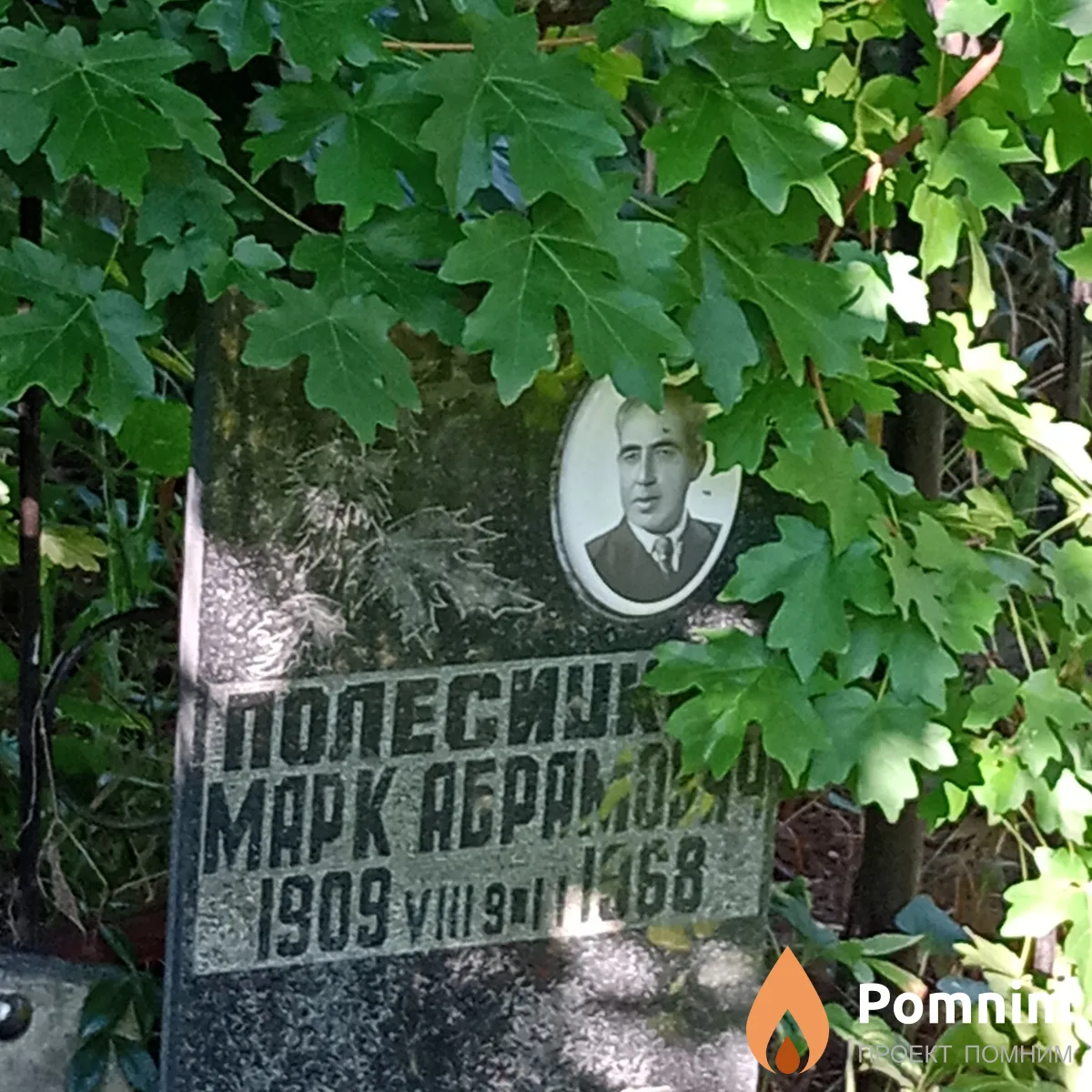 Полесицкий Mapк Абрамович
