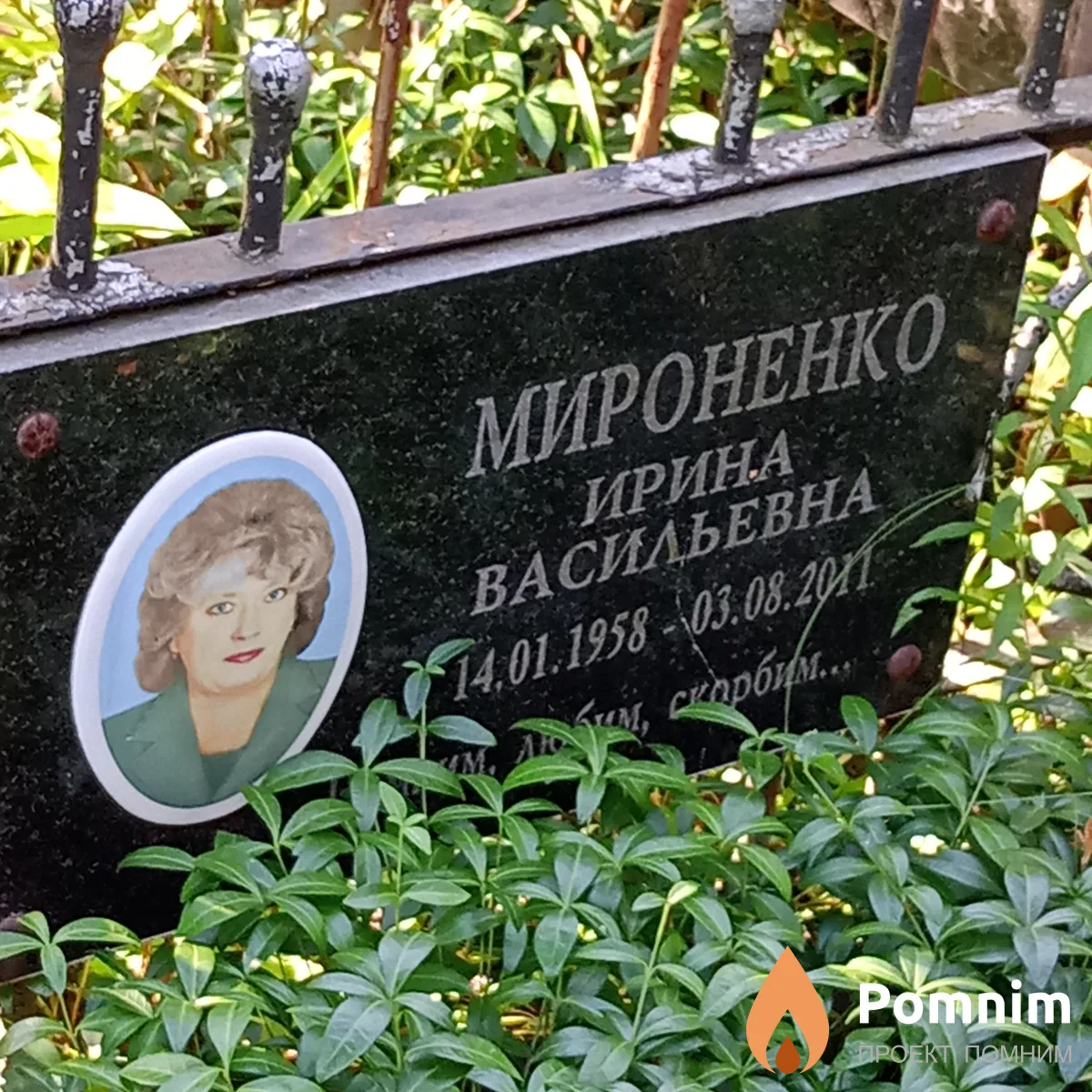 Мироненко Ирина Васильевна