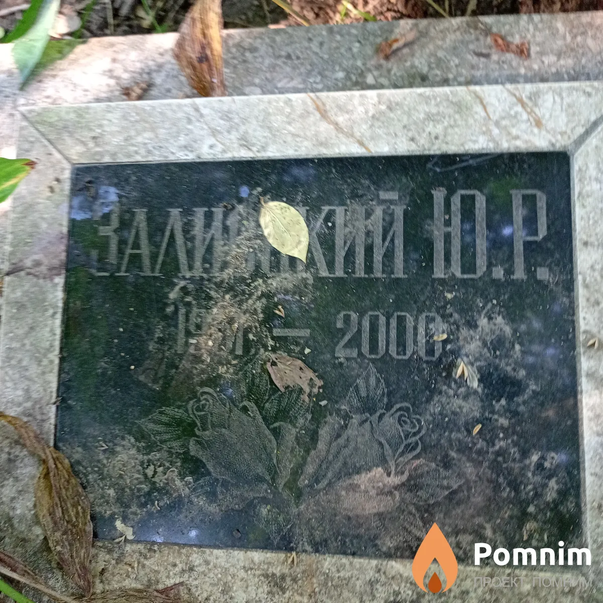Залицкий Ю Р