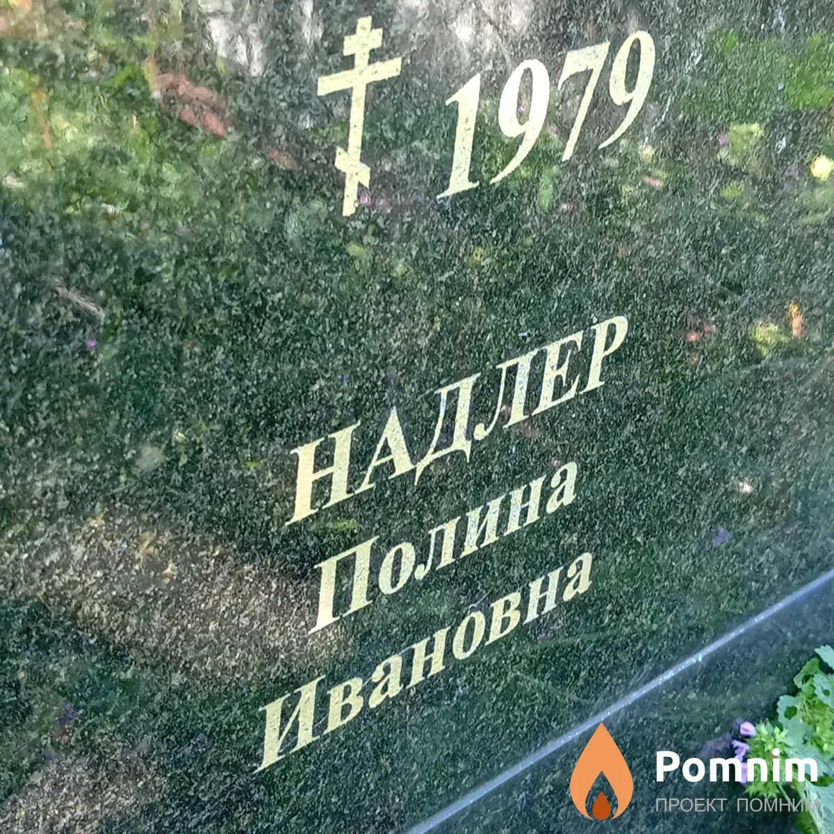 Надлер Полина Ивановна