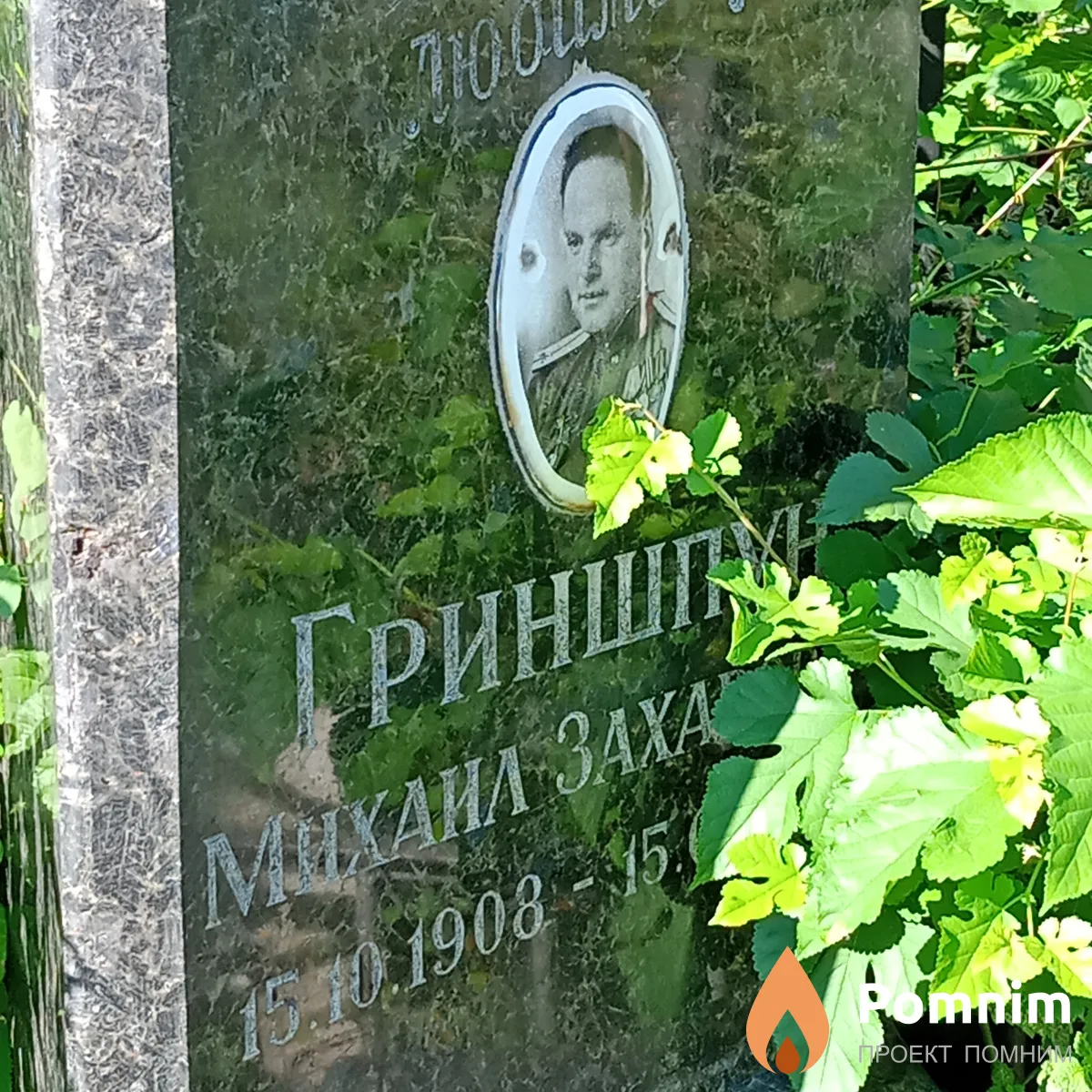 Гришпун Михаил Захарович