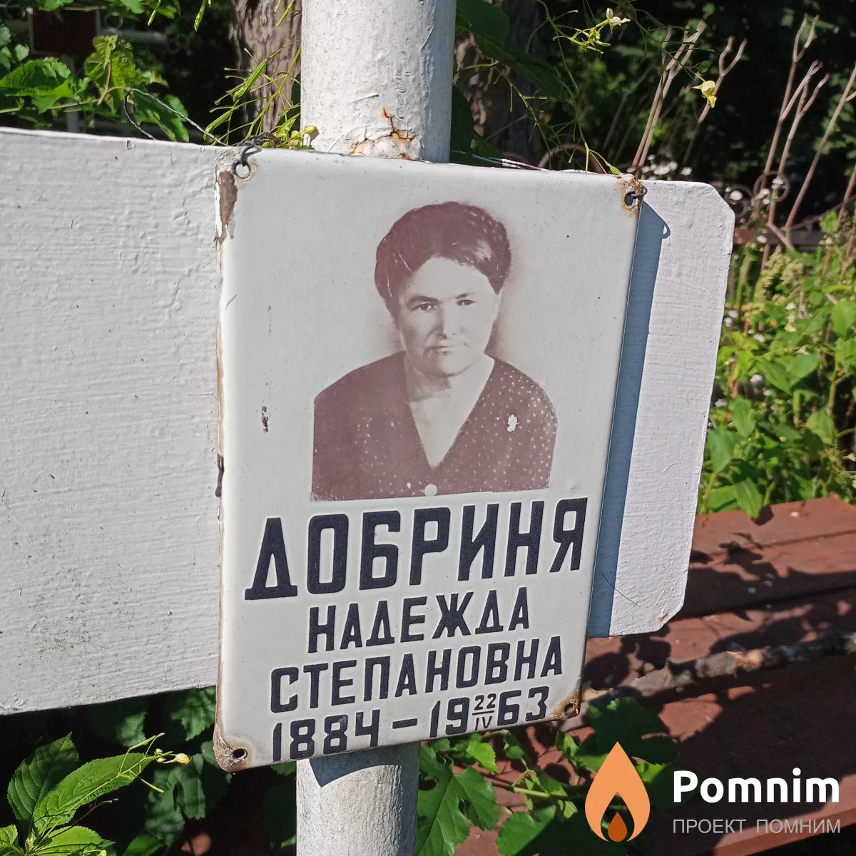 Добриня Надежда Степановна