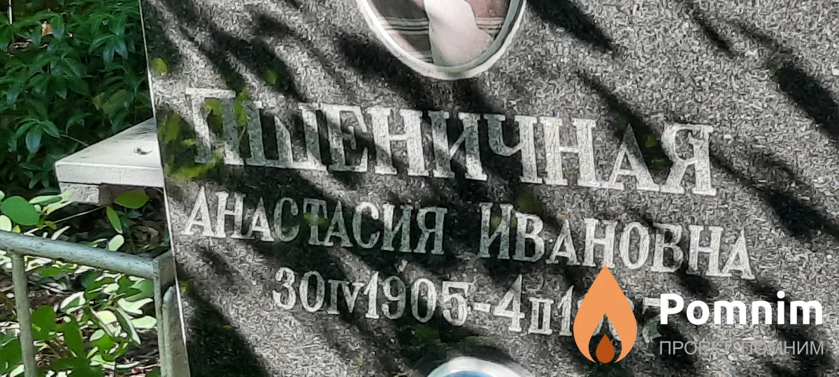 Пшеничная Анастасия Ивановна