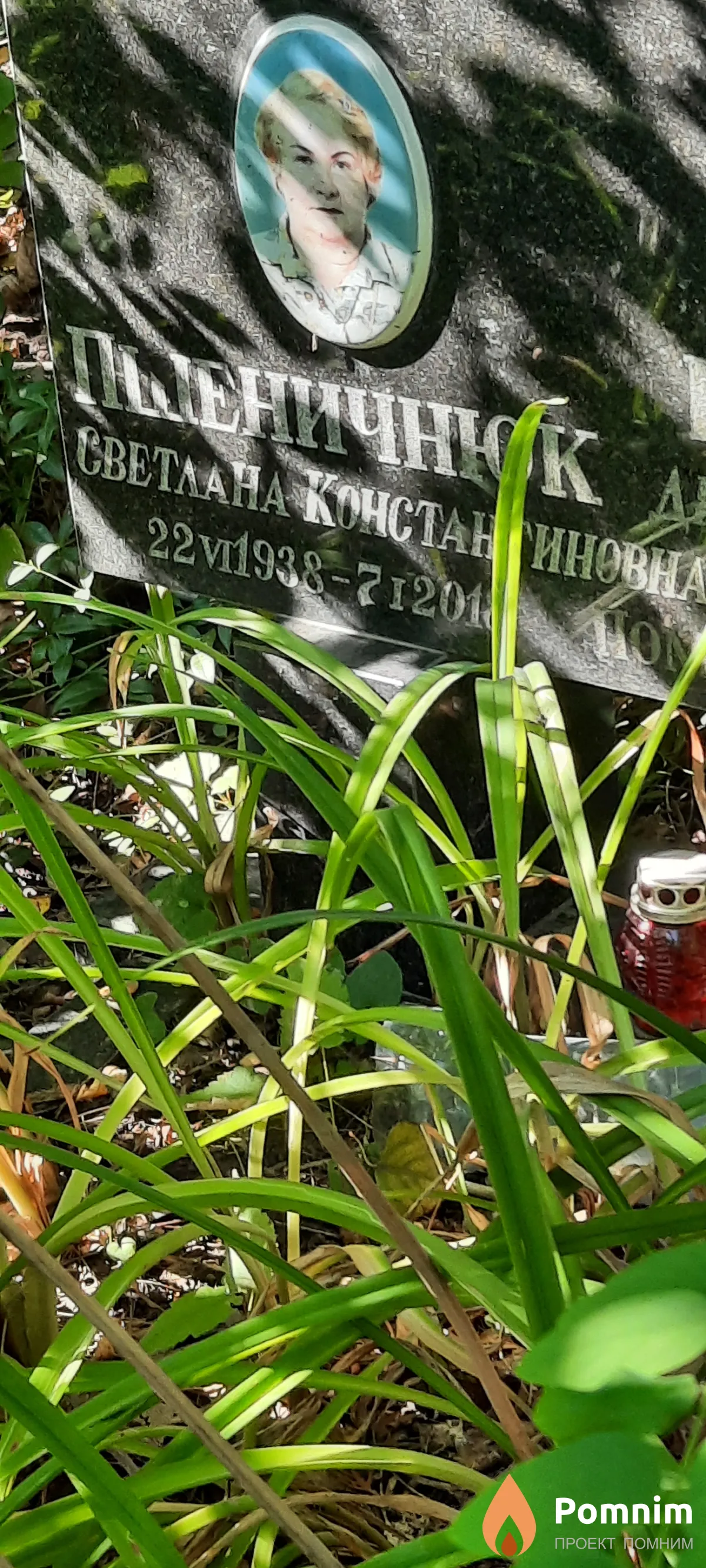 Пшеничнюк Светлана Константиновна