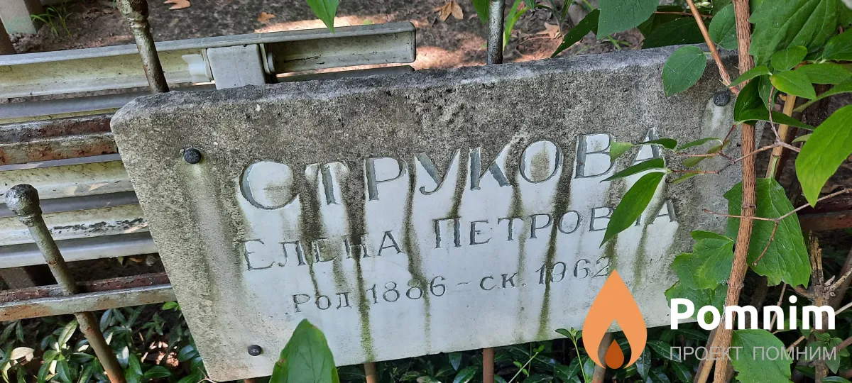 Струкова Елена Петровна