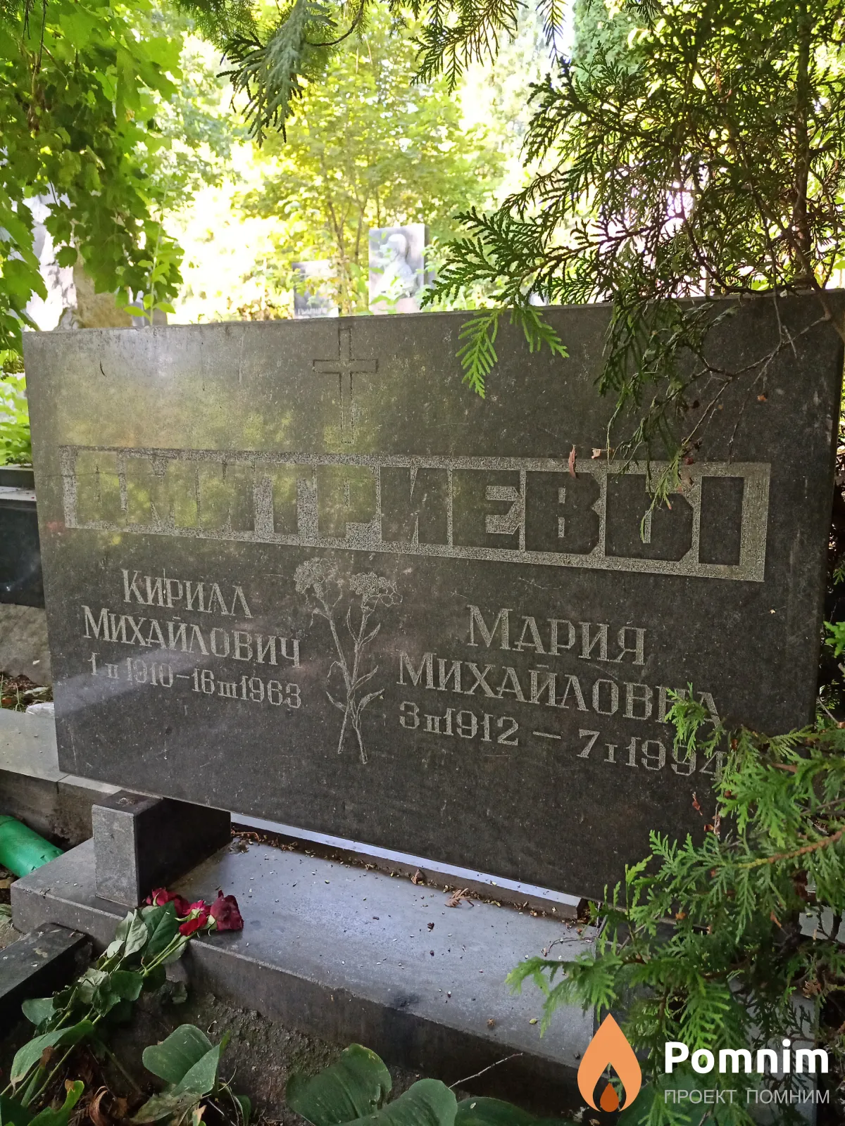 Дмитриева Мария Михайловна