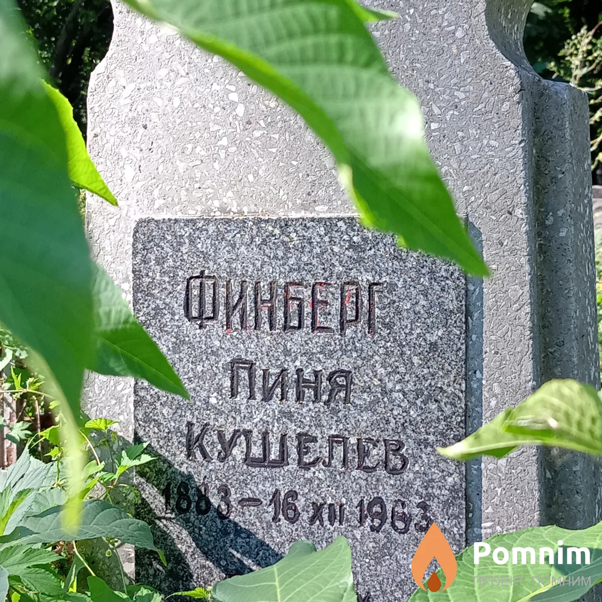 Финберг Пиня Кушелев