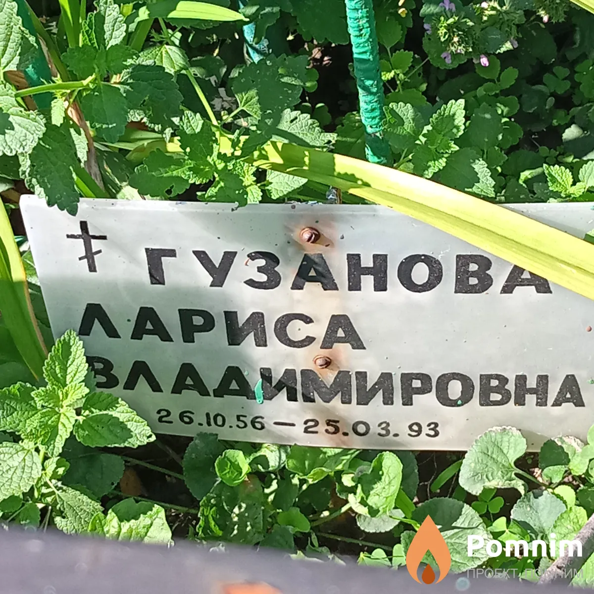 Гузанова Лариса Владимировна