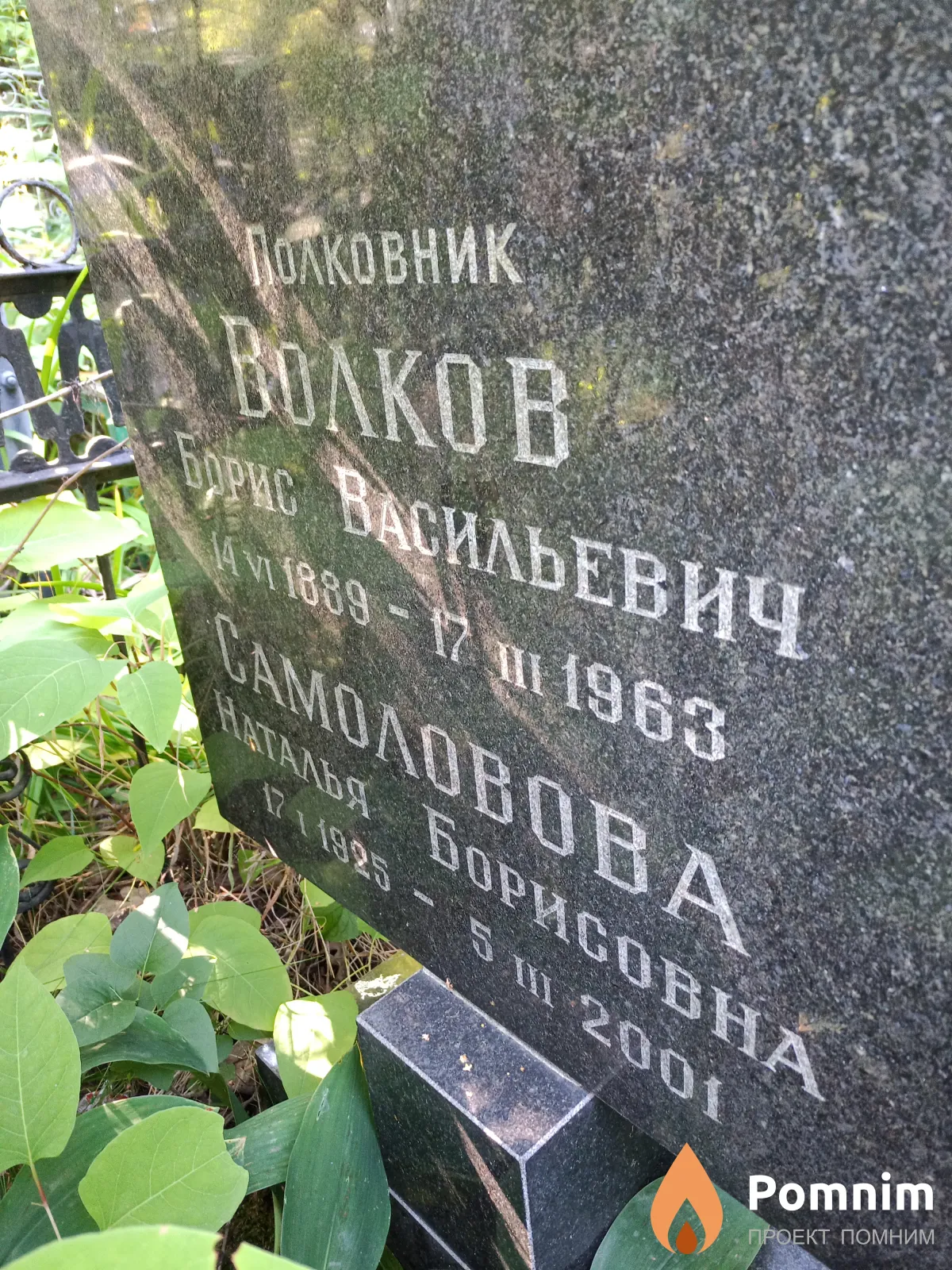 Самоловова Наталья Борисовна