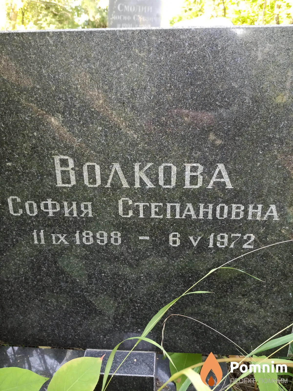 Волкова София Степановна