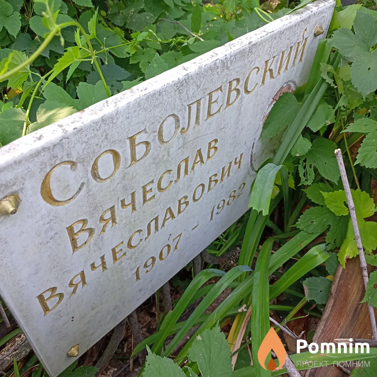 Соболевсколий Вячеслав Вячеславович