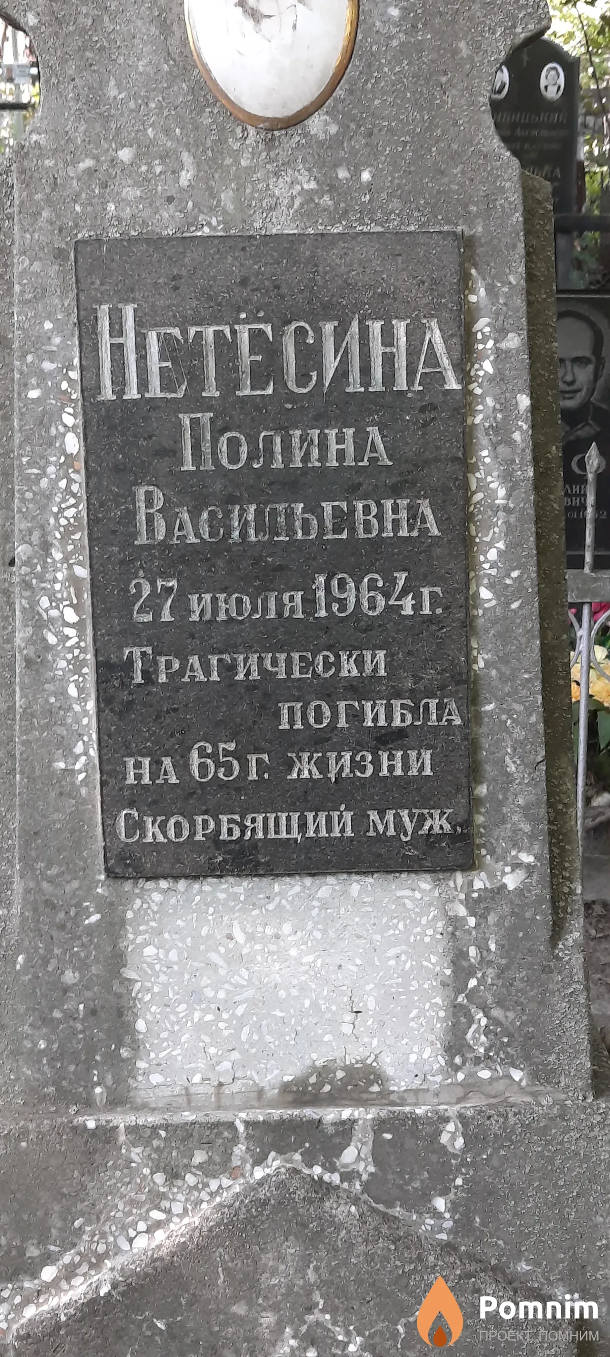 Нетесина Полина Васильевна