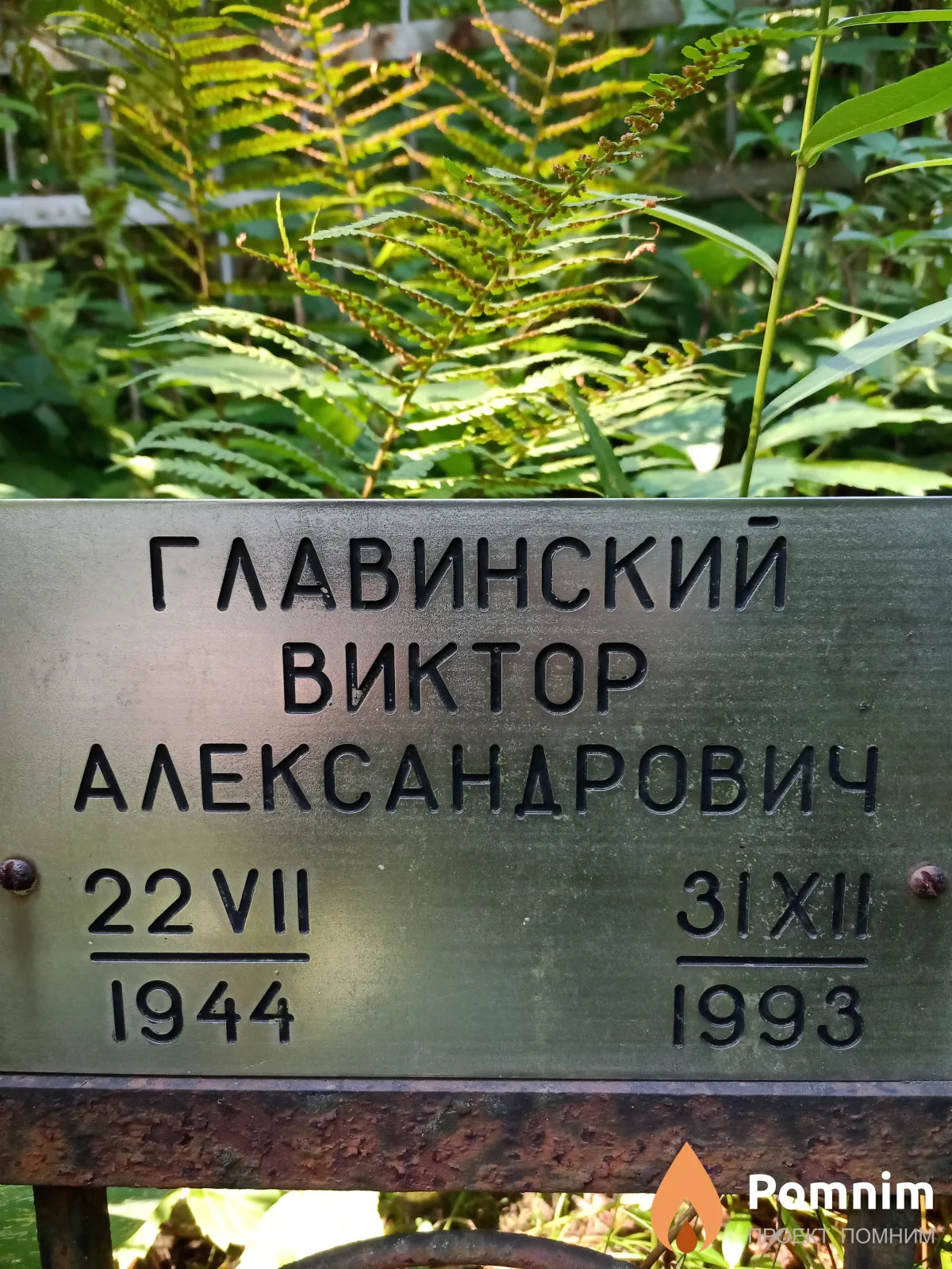Главинский Виктор Александрович