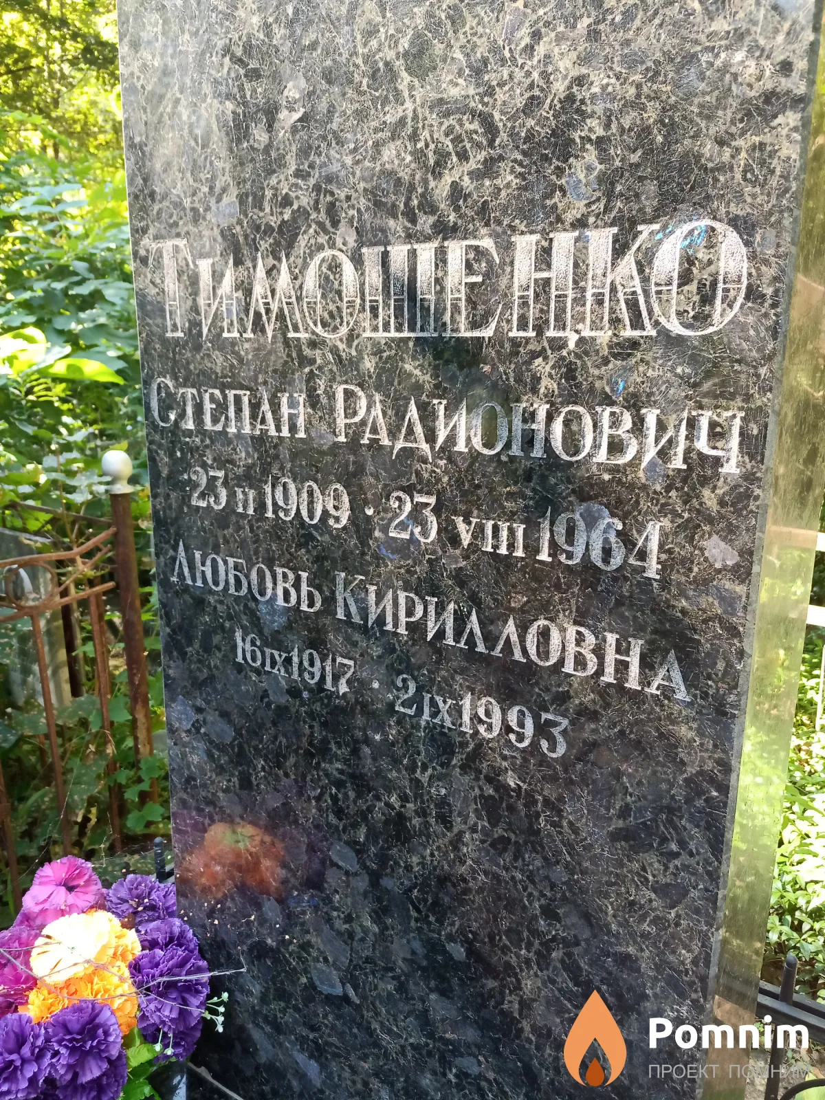 Тимошенко Любовь Кирилловна