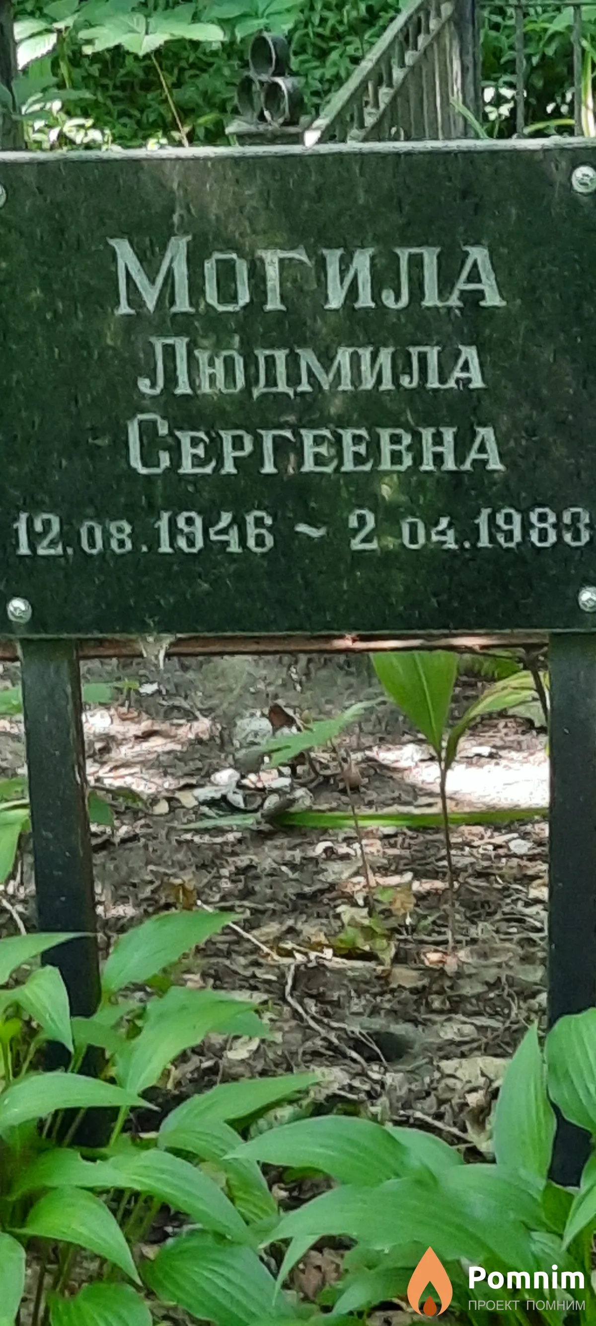 Могила Людмила Сергеевна