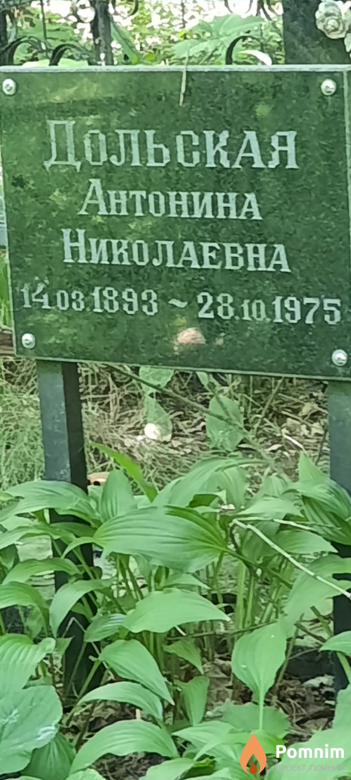 Дольская Антонина Николаевна