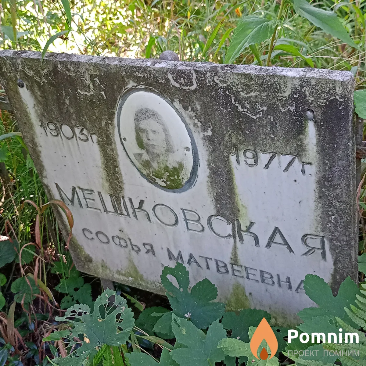 Мешковская Софья Матвеевна
