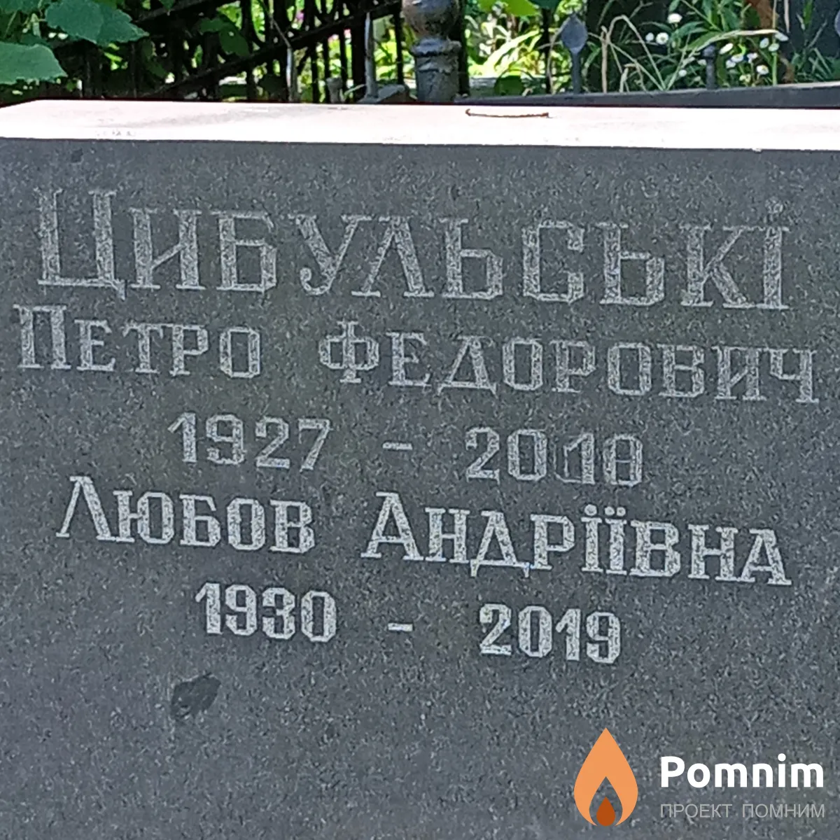 Цибульський Петро Федорович