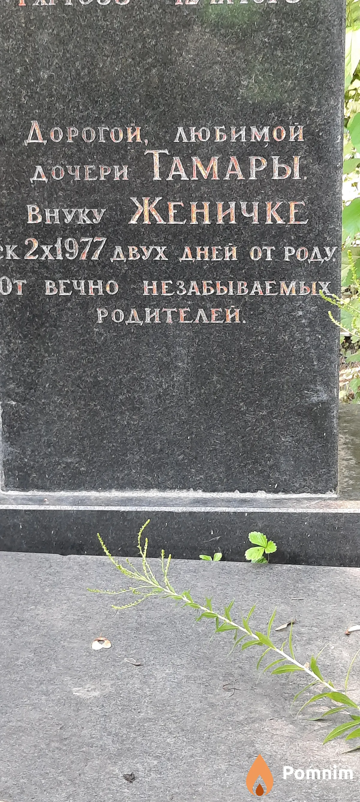 Лановенко Евгений