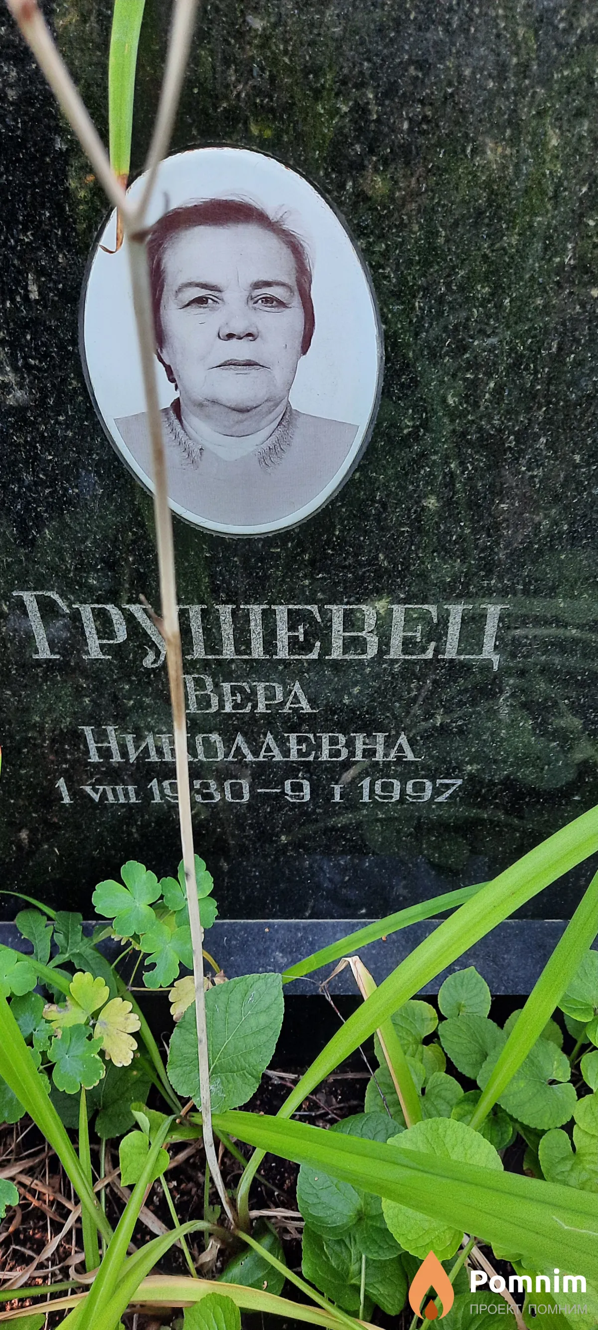 Грушевец Вера Николаевна