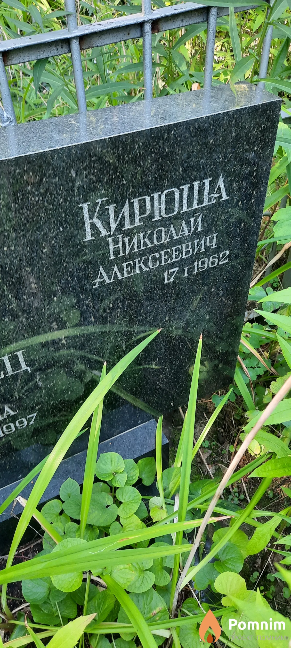 Кирюша Николай Алексеевич