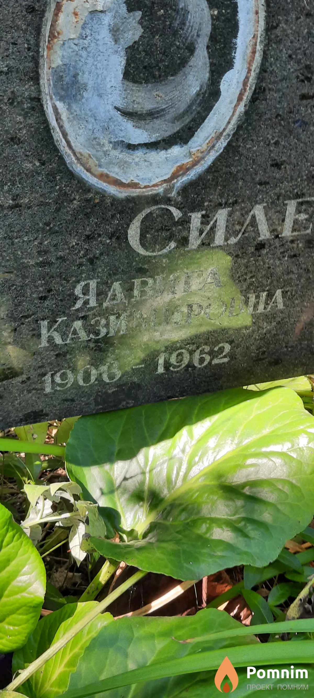 Селенко Ядвига Казимировна