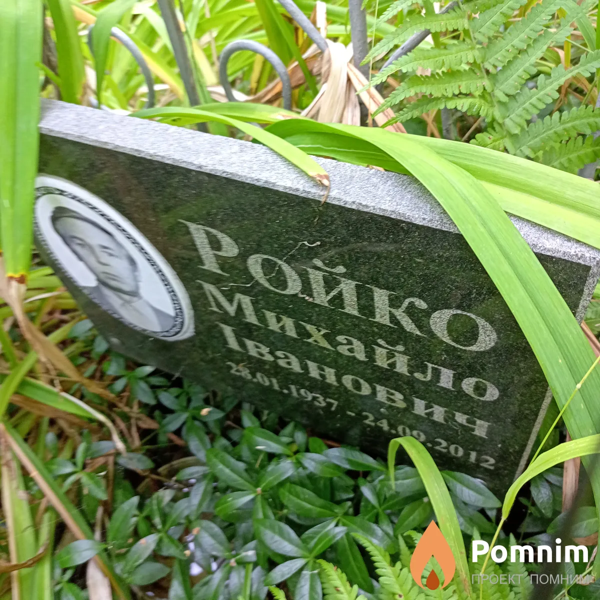 Ройко Михаил Иванович