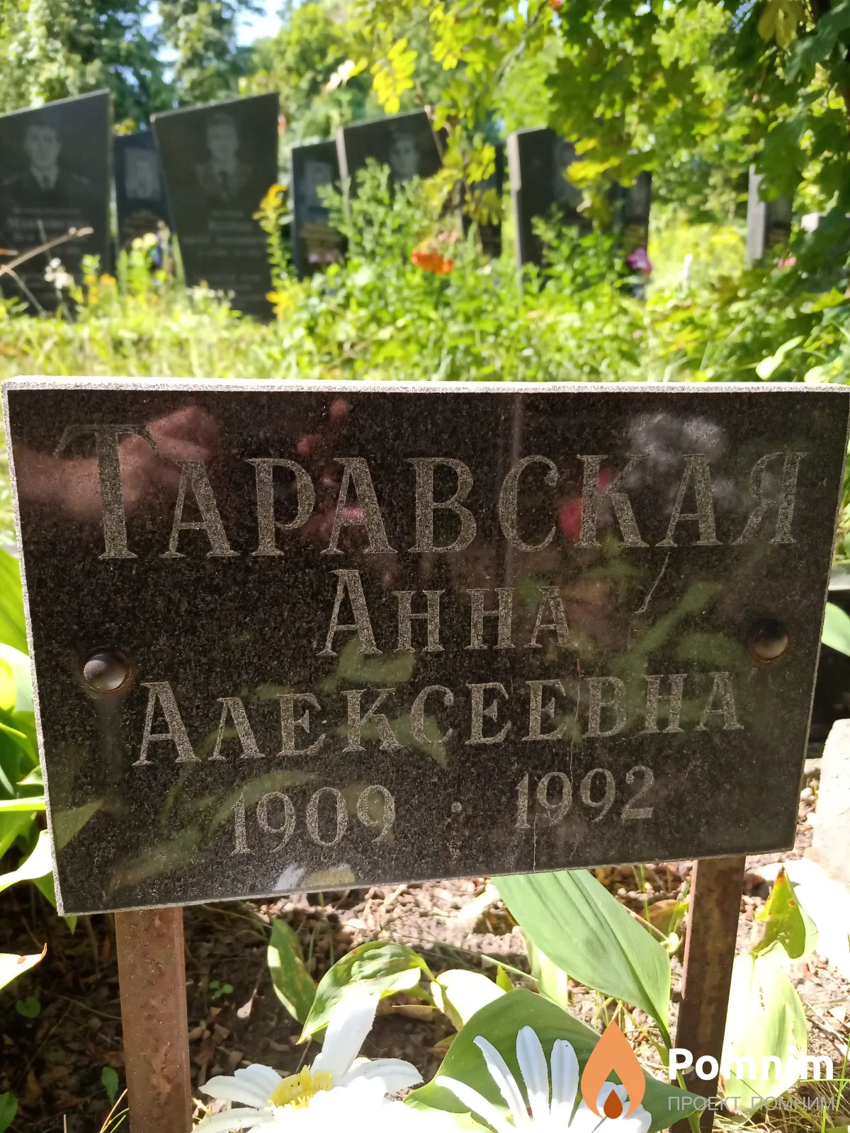 Таравская Анна Алексеевна
