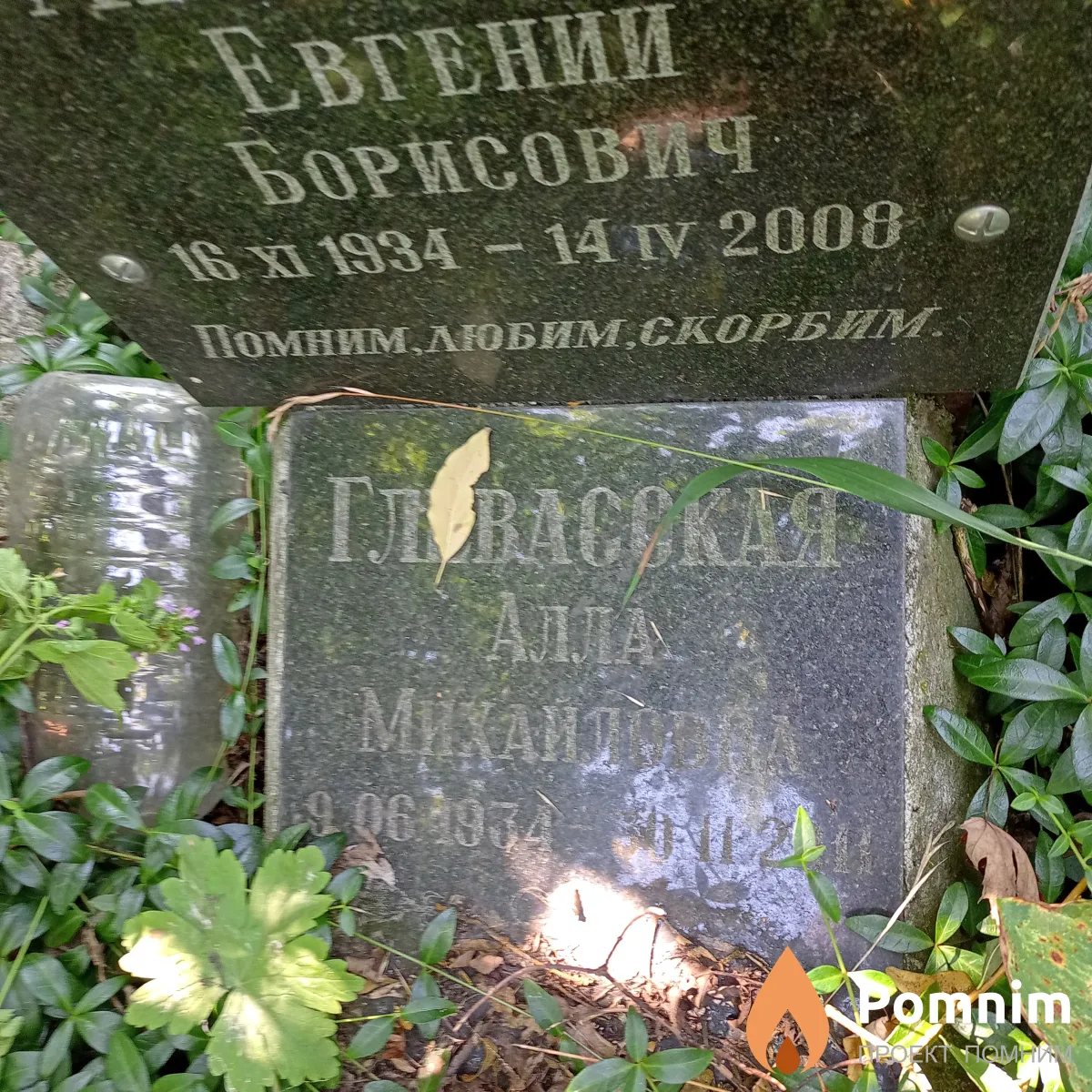 Глевасокая Алла Михайловна