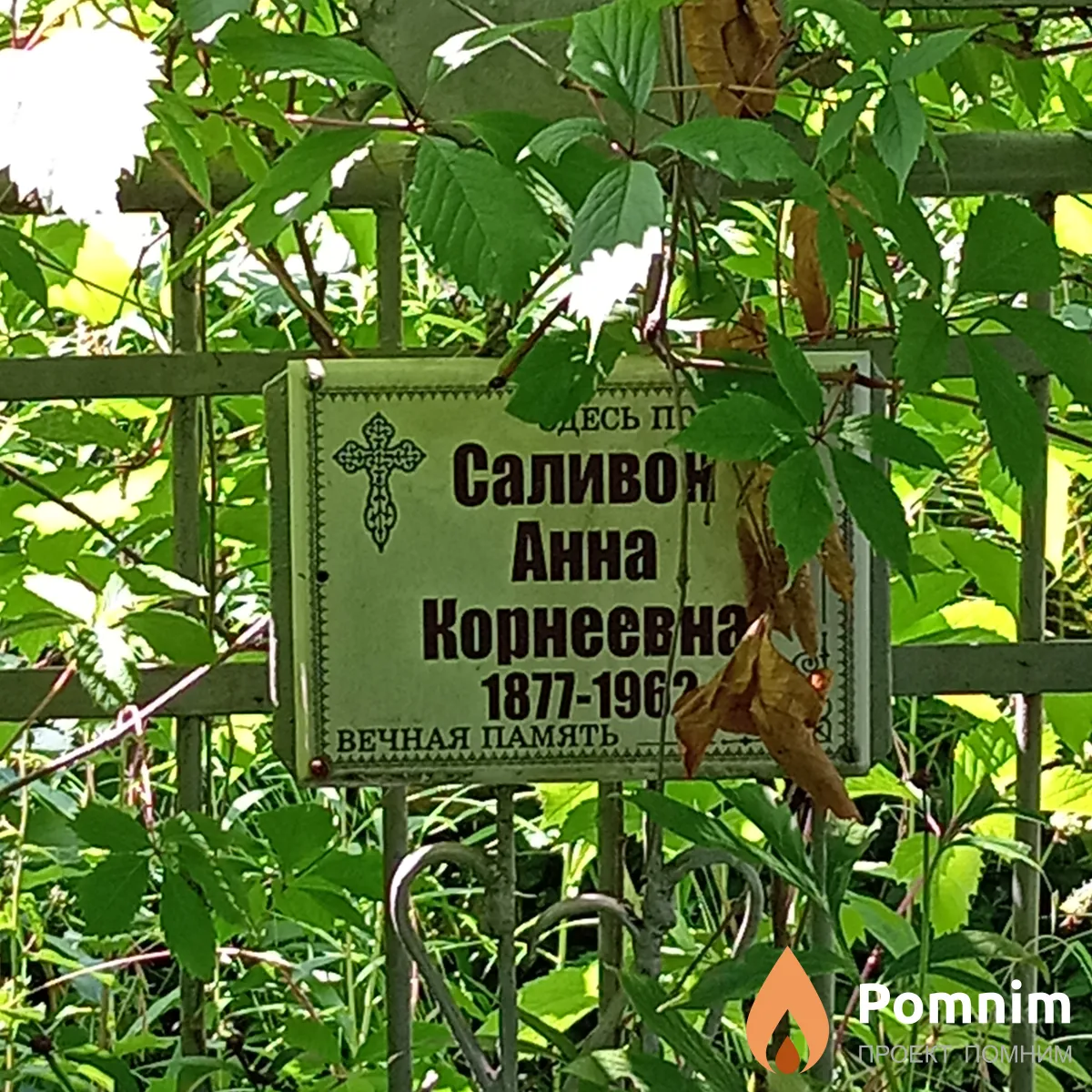 Саливон Анна Корнеевна