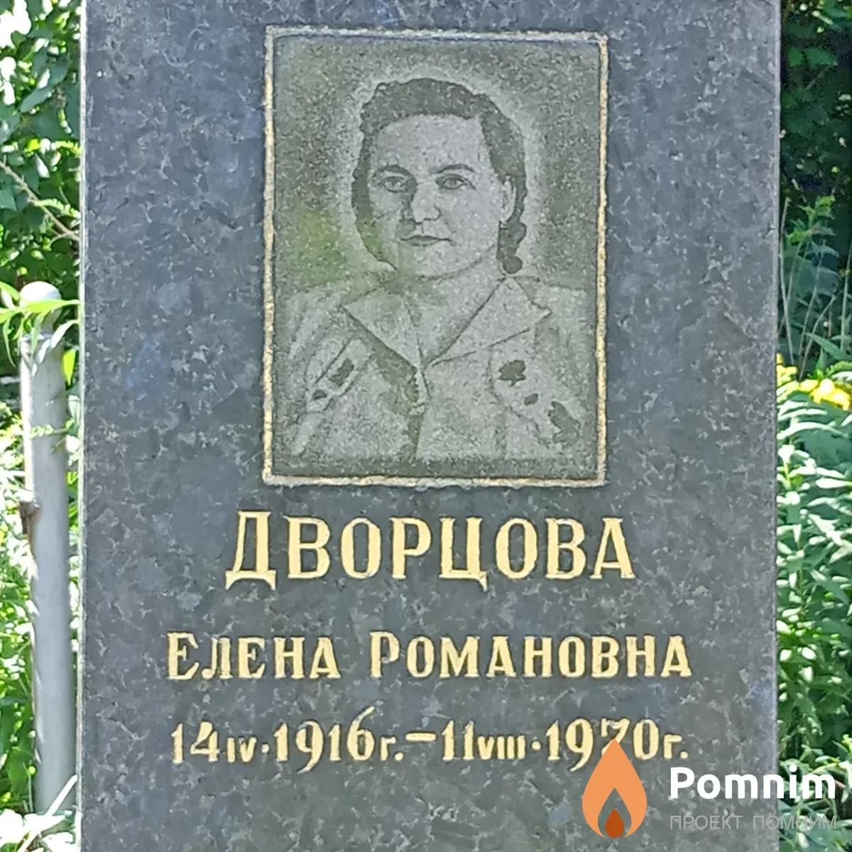Дворцова Елена Романовна
