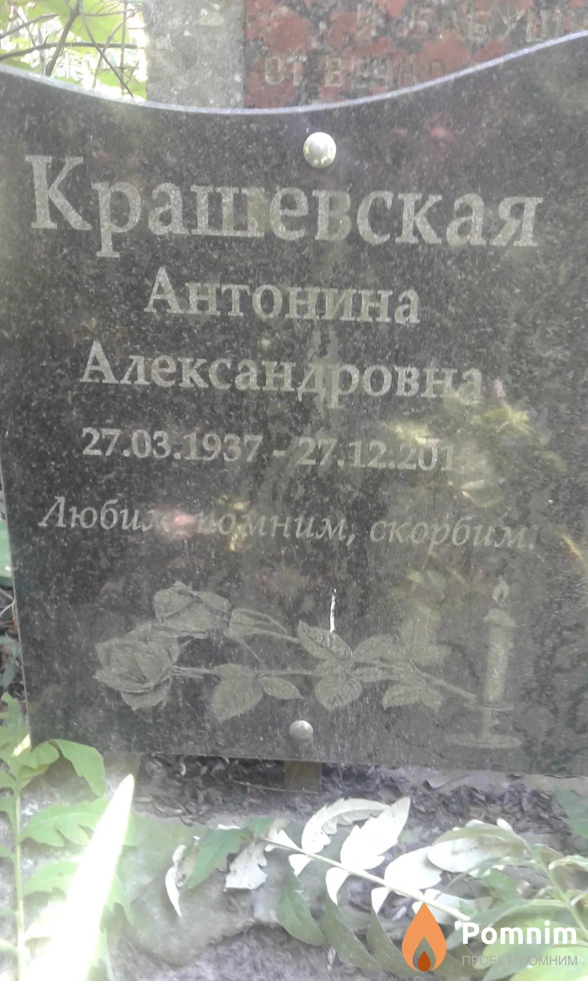 Крашевская Антонина Александровна