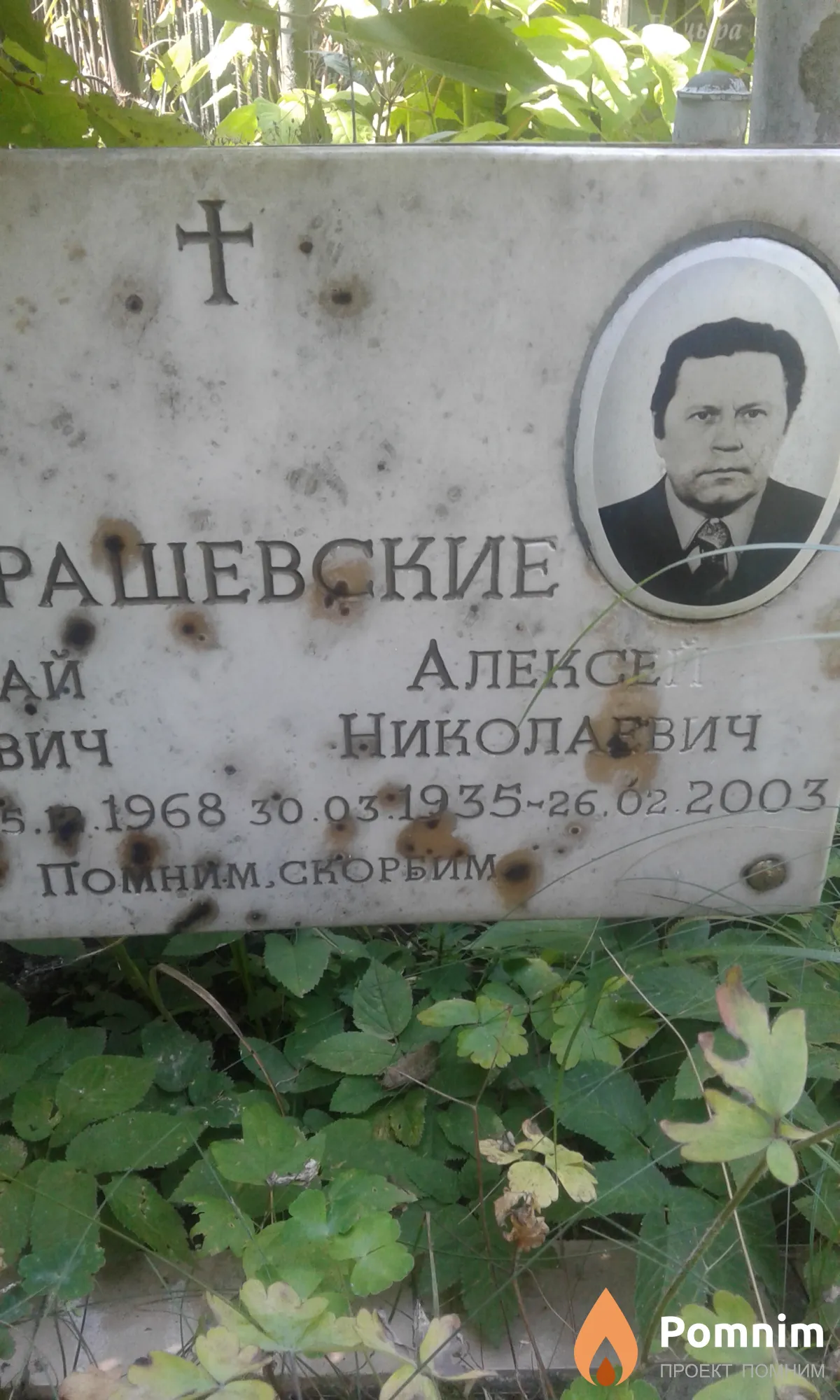 Крашевские Алексей Николаевич