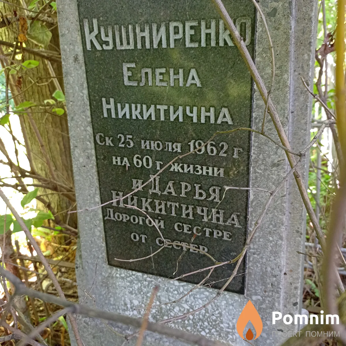 Кушниренко Елена Никитична