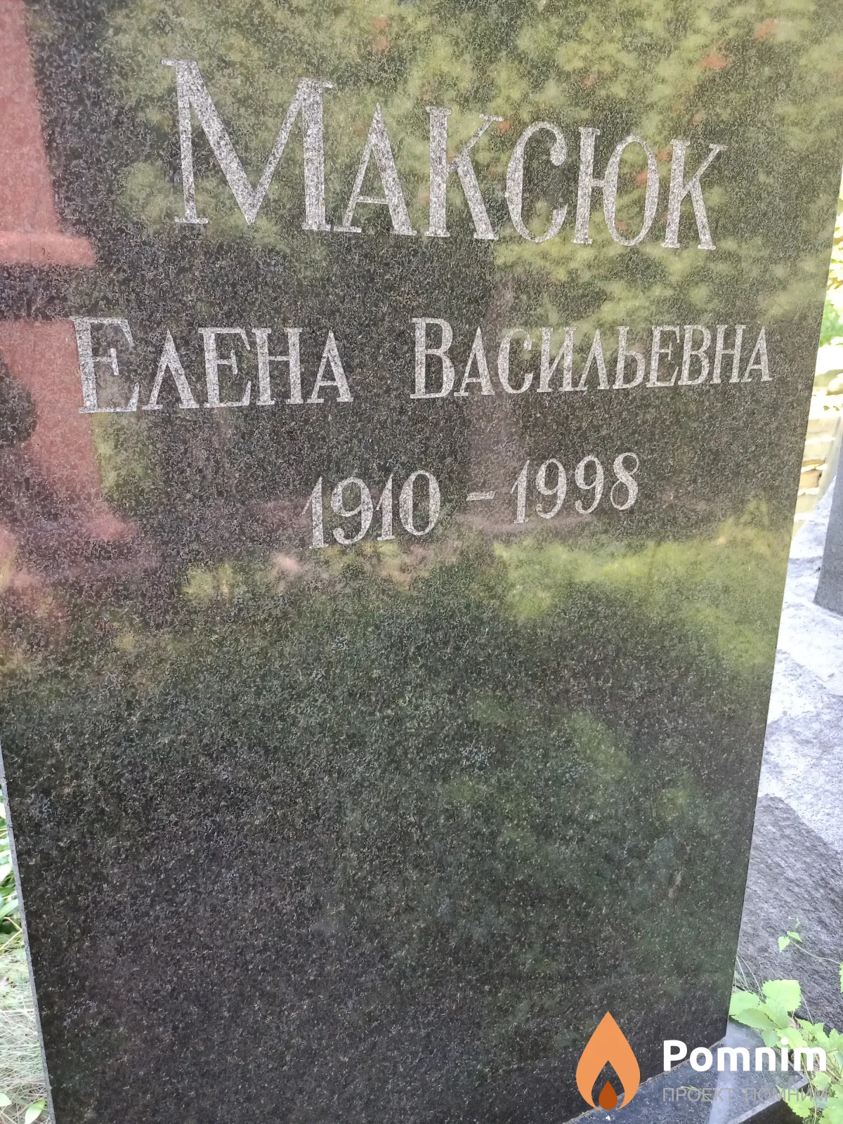 Максюк Елена Васильевна
