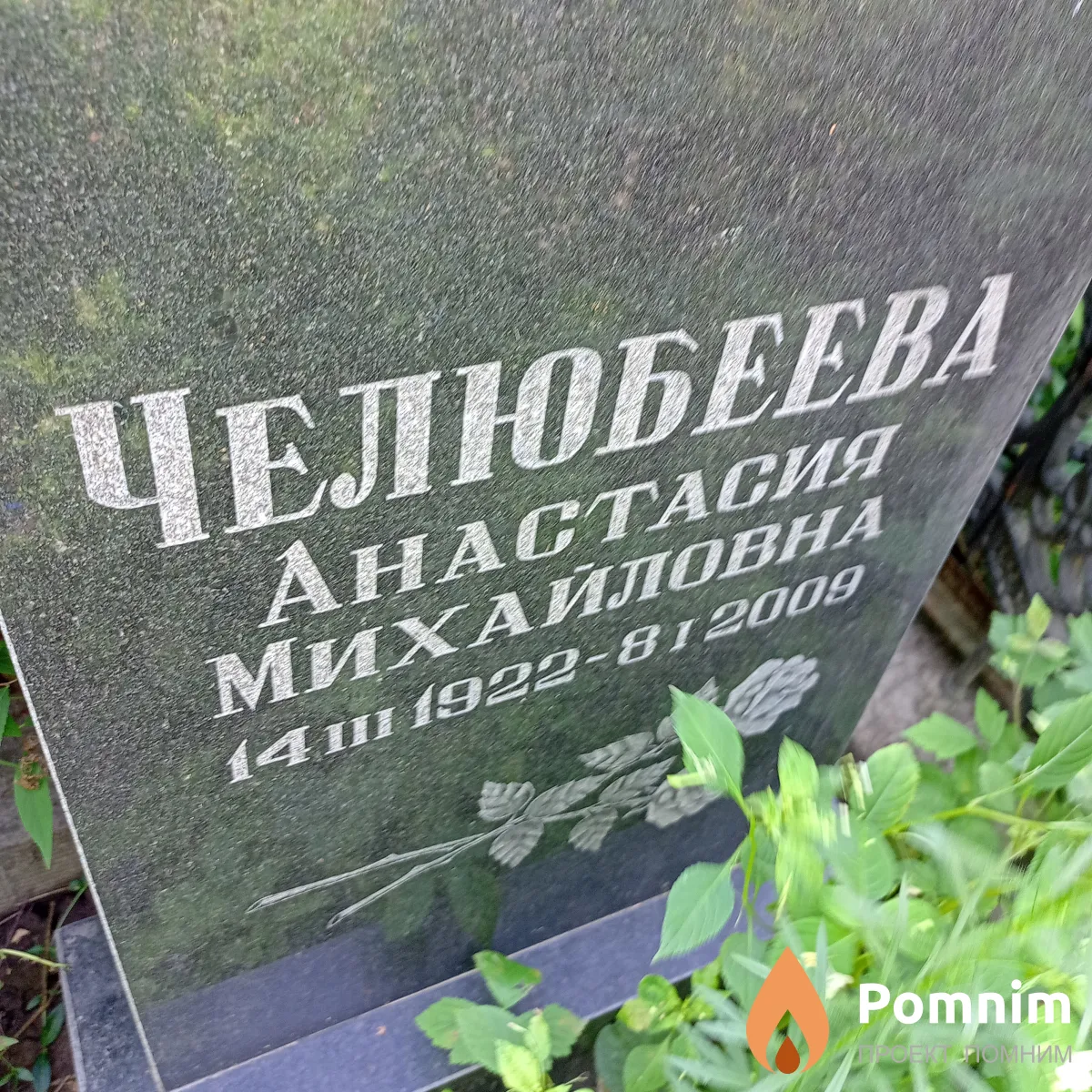 Челюбеева Анастасия Михайловна