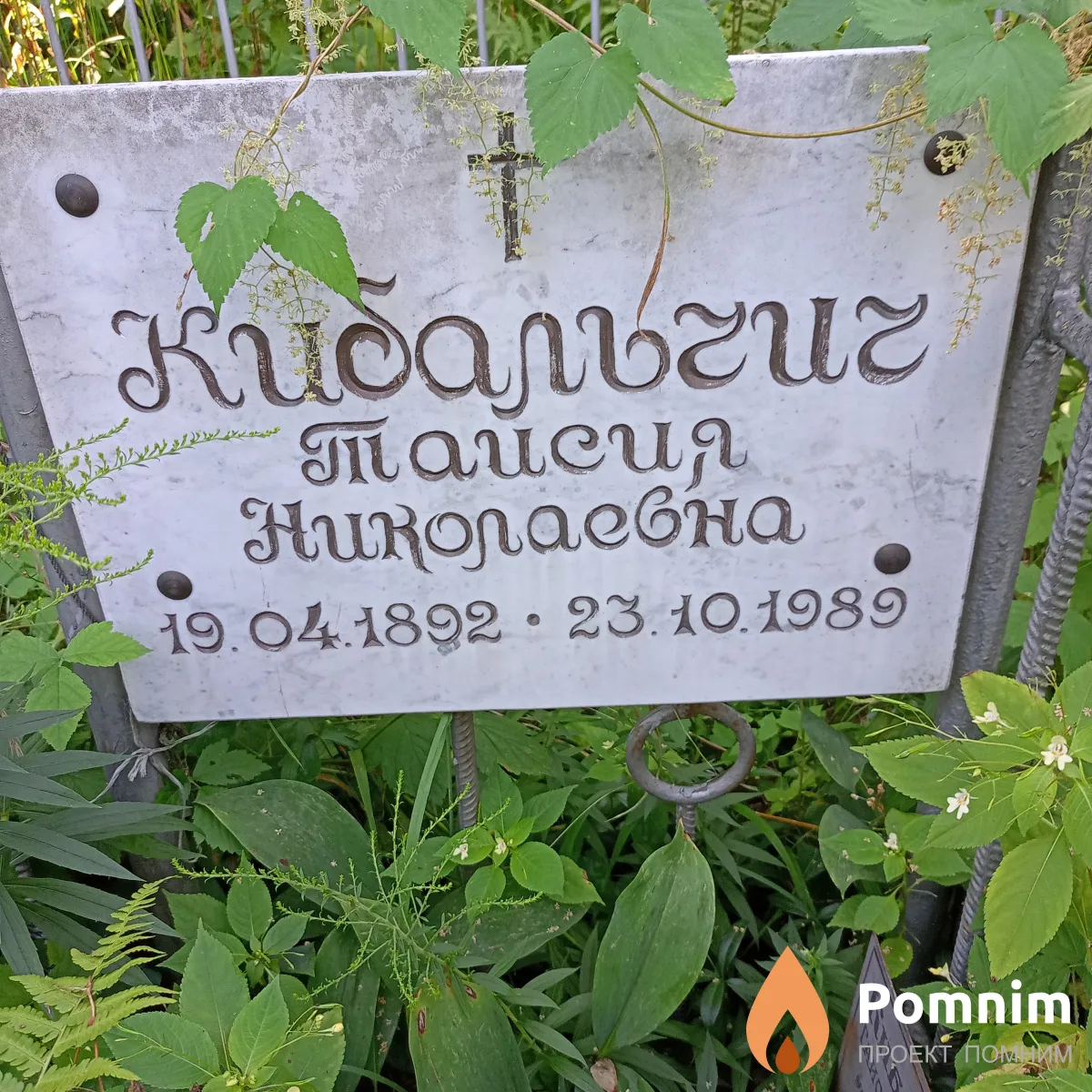 Кибальчич Таисия Николаевна