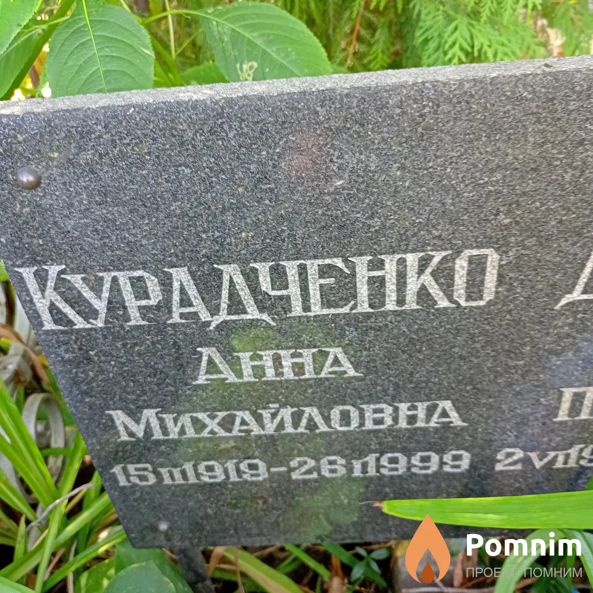 Курадченко Анна Михайловна