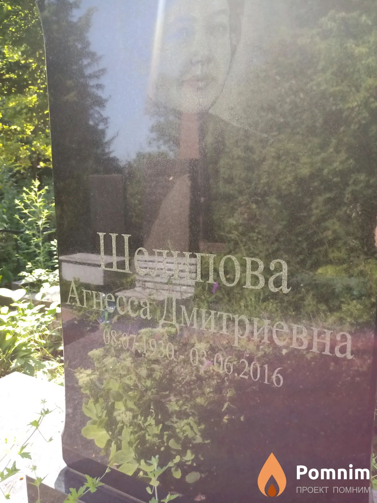 Шелипова Агнесса Дмитриевна