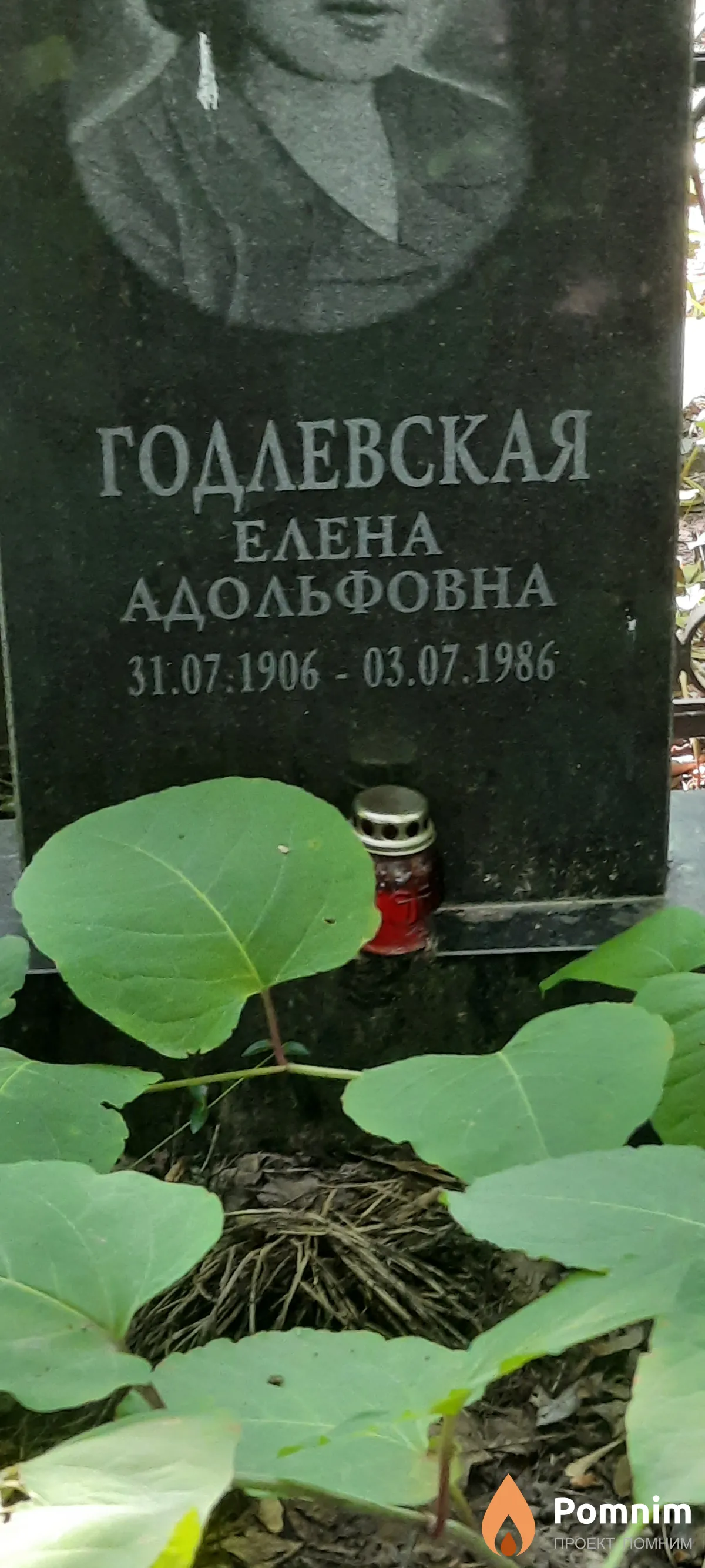 Годлевская Елена Адольфовна