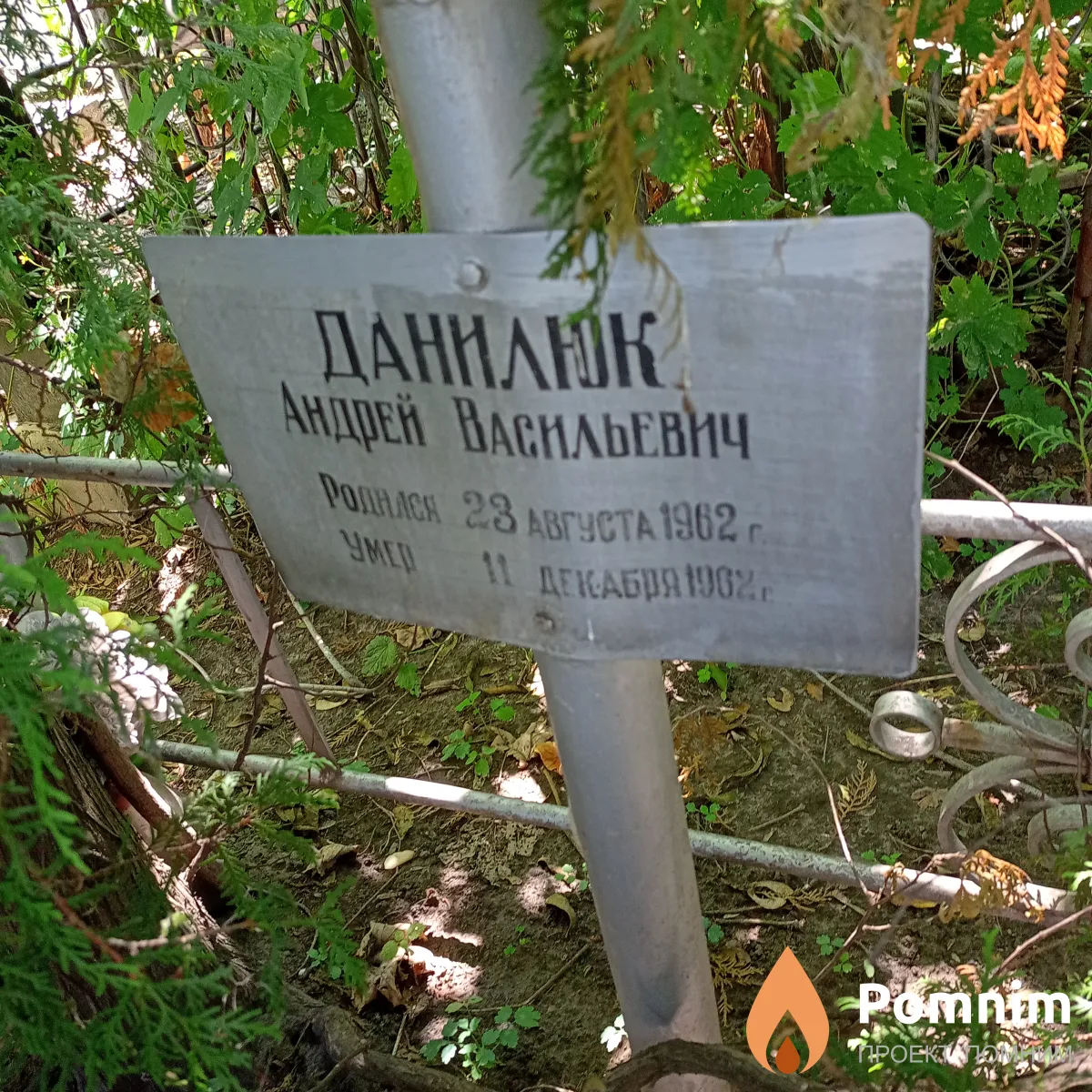 Данилюк Андрей Васильевич