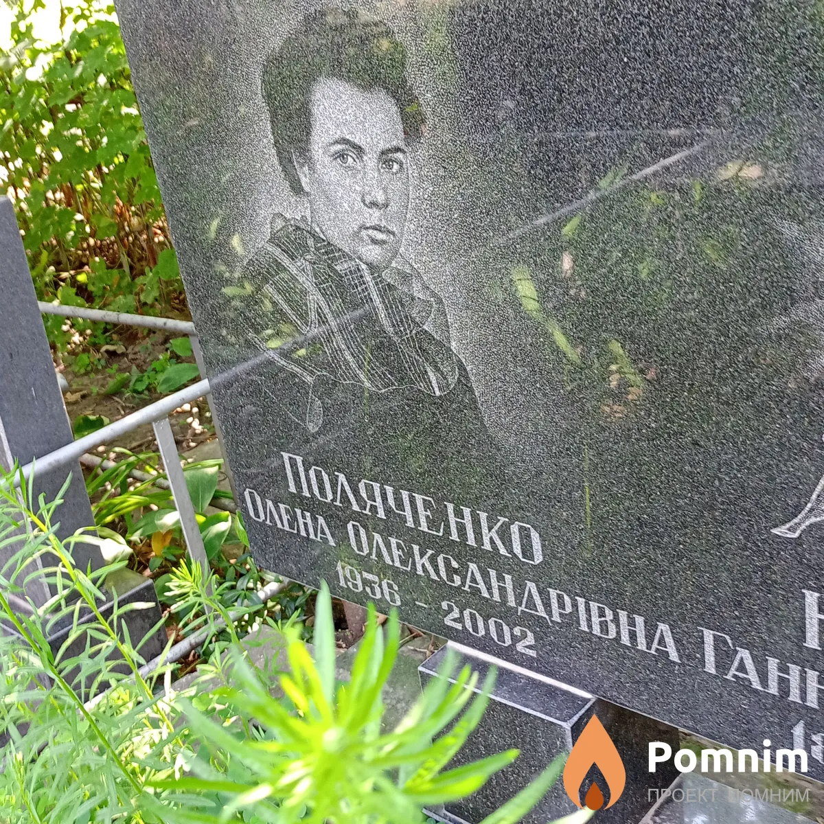 Поляченко Елена Александровна